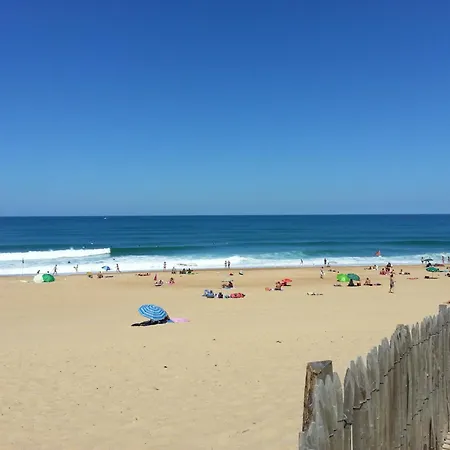 Cosy & Surf : Confort Et Vue A Le Penon * Seignosse